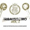 Rzn interpreti - Tribalelectro vol.2